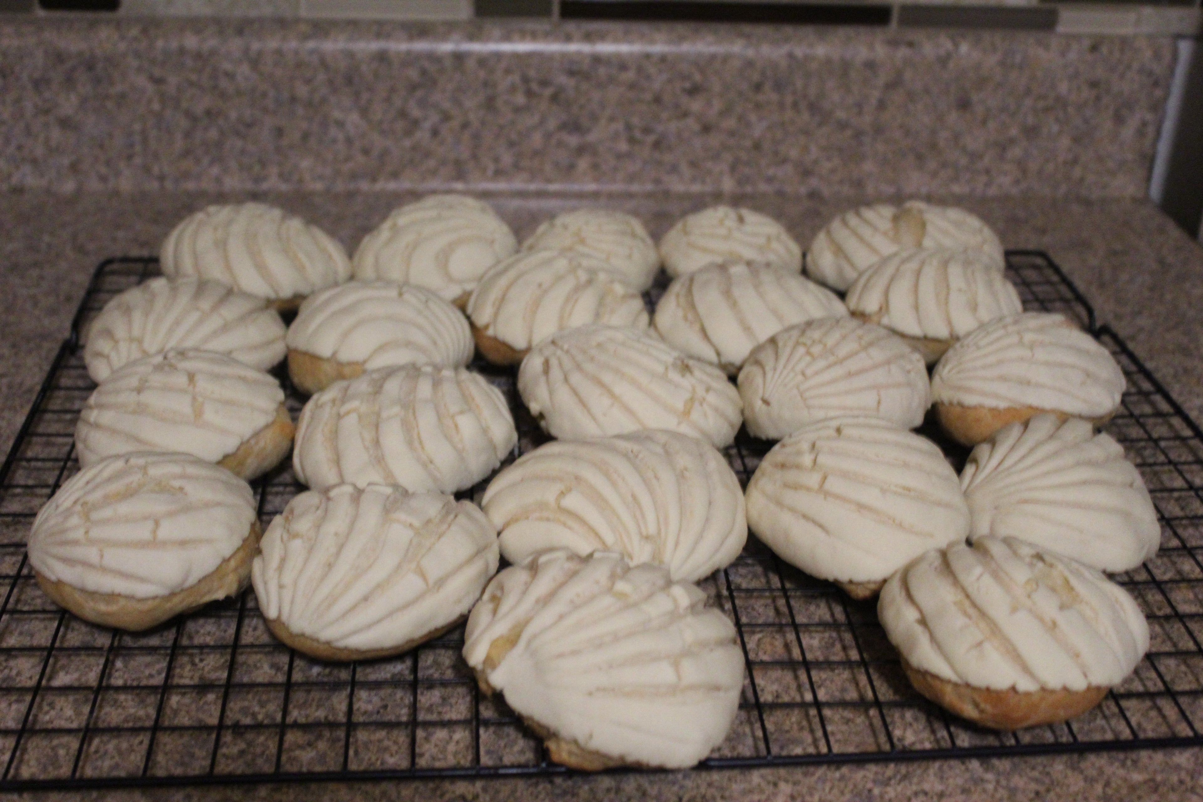 Classic Conchas