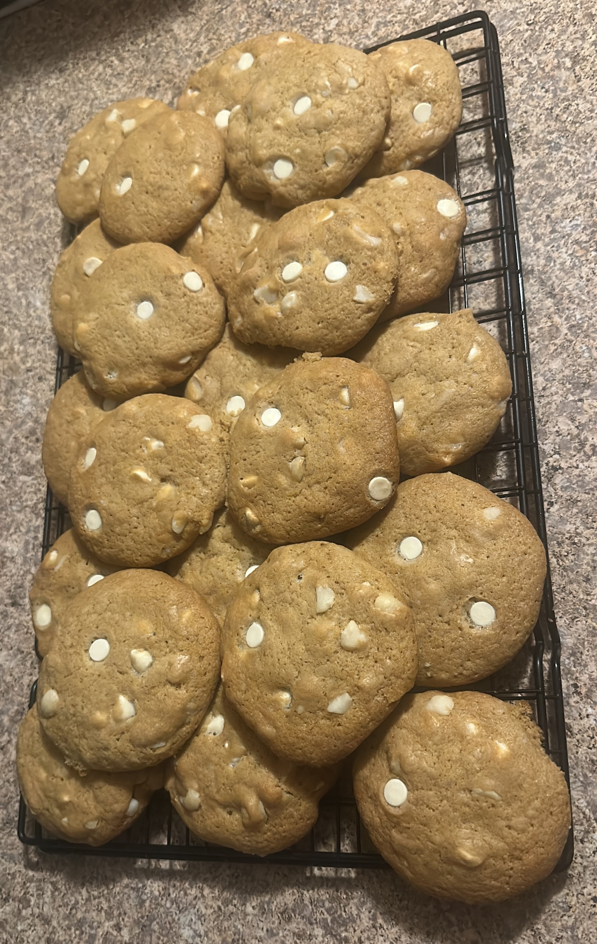White Macadamia Cookie