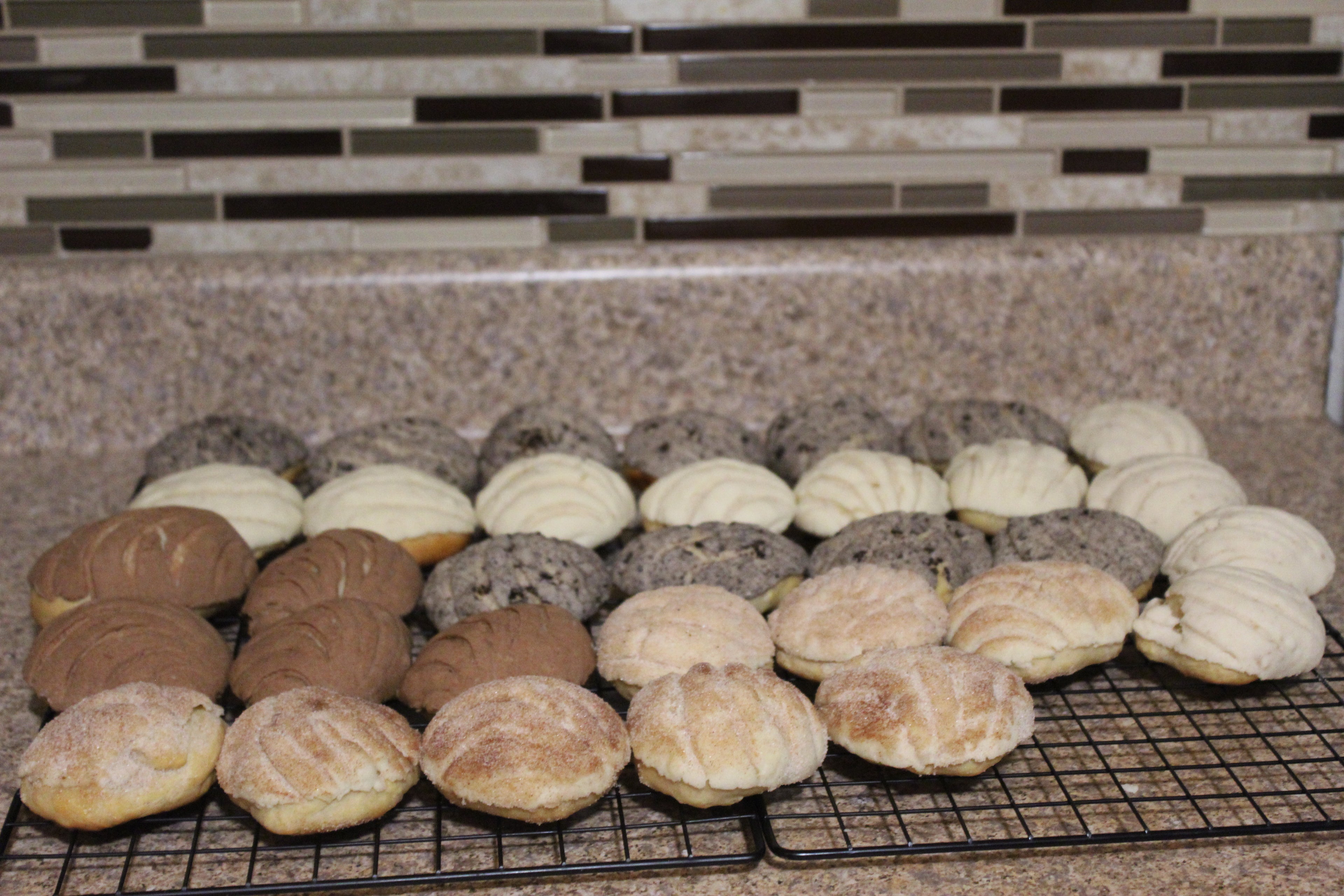 Mini Classic Conchas