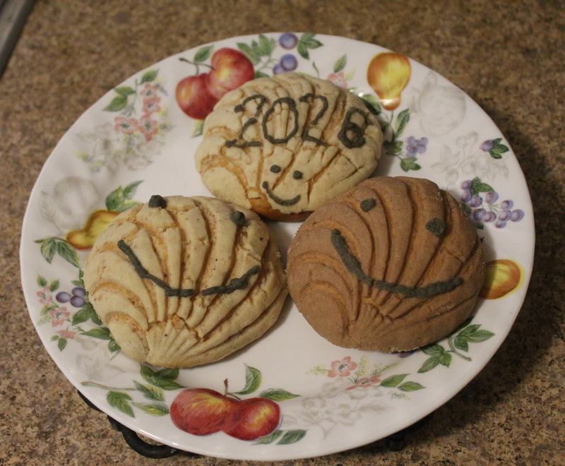 Classic Decorated Conchas